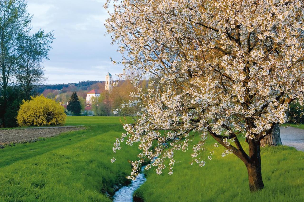Best Western Aparthotel Birnbachhoehe Bad Birnbach Extérieur photo